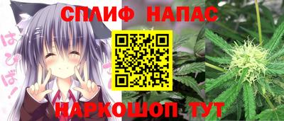 PSILOCYBIN Заволжье