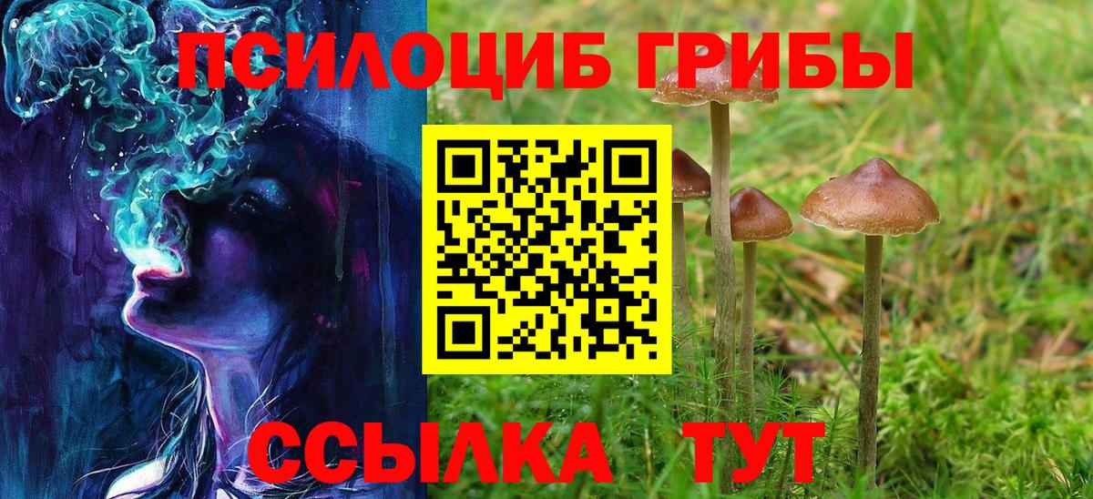 Галлюциногенные грибы Magic Shrooms Майкоп