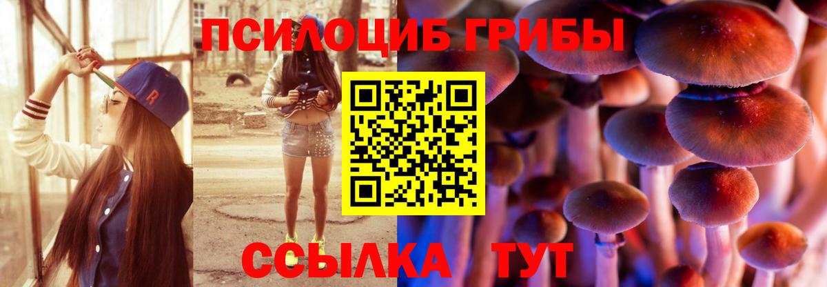 Майкоп  Псилоцибиновые грибы прущие грибы  Вход с VPN  Псилоцибиновые грибы ЛСД 