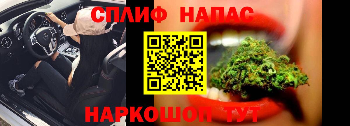 Канабис планчик Майкоп